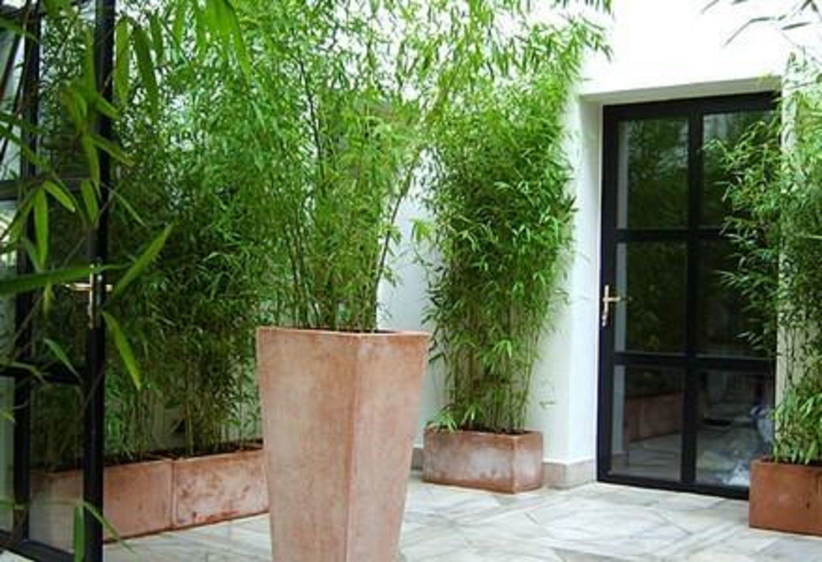 Tingis Hotel Paris